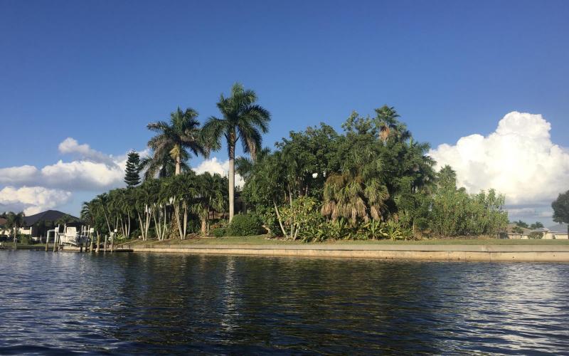 Palm trees almost hide this home