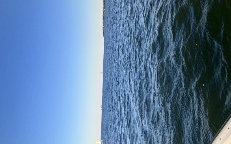 downwind leg