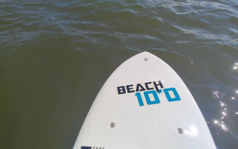It is not easy taking a picture while paddleboarding.