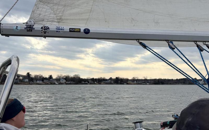 A little gray but still nice