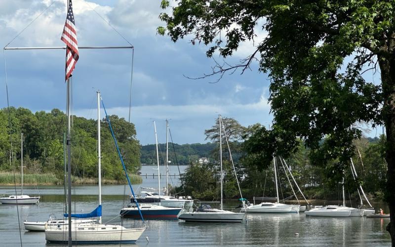Sailboats on Blackhole Creek before the race