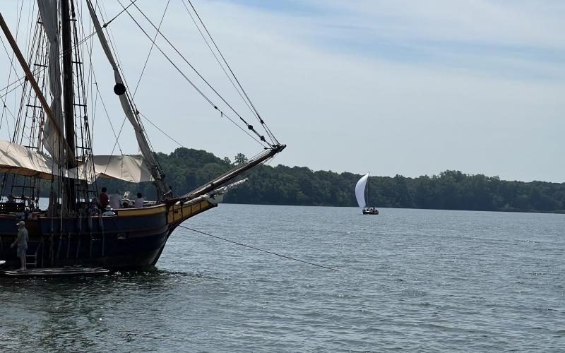 Finishing under spinnaker with the Dove