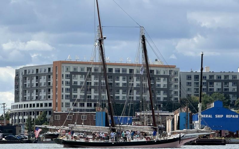 Lady Maryland