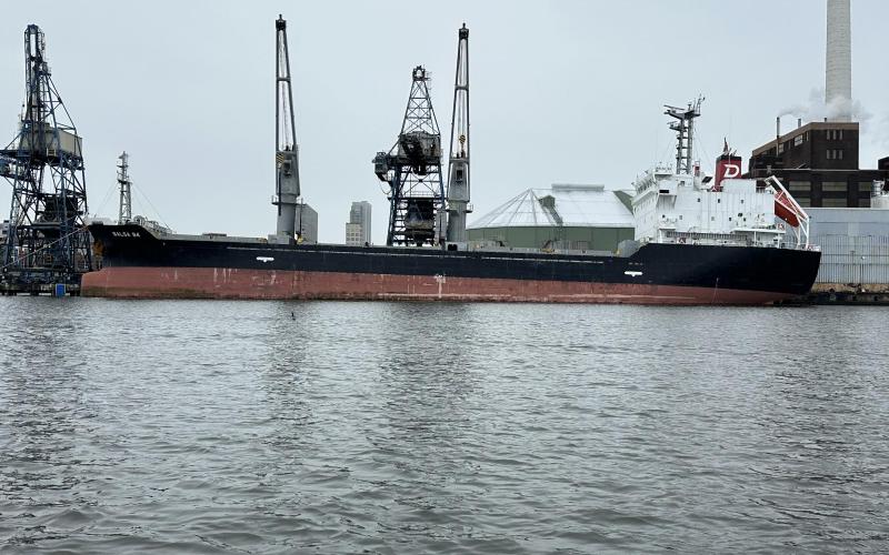 Bulk carrier Balsa 94