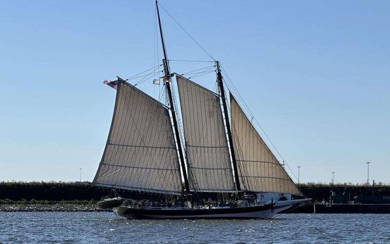 Lady Maryland