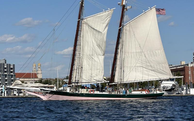 Lady Maryland