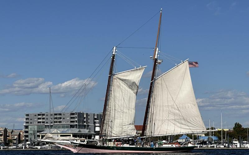 Lady Maryland