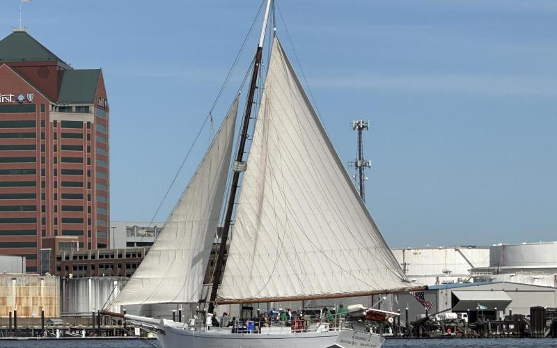 Skipjack Sigsbee