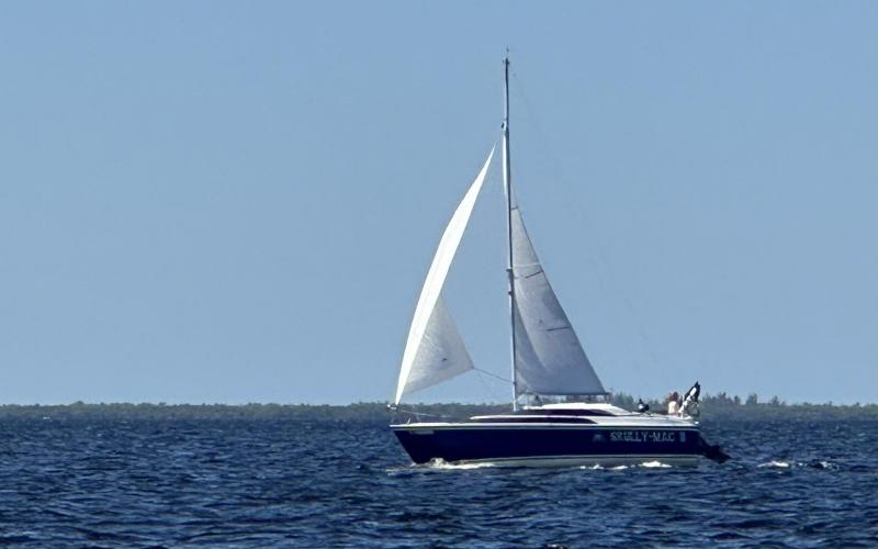 The only other sailboat I saw sailing today