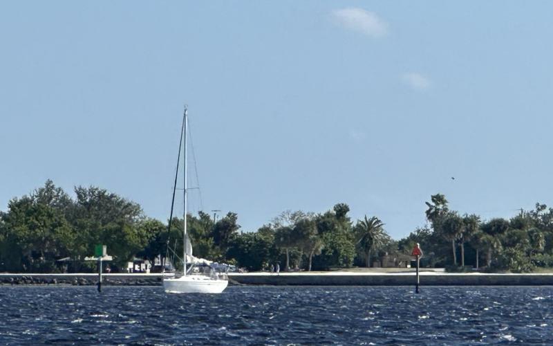 The only other sailboat I saw out today