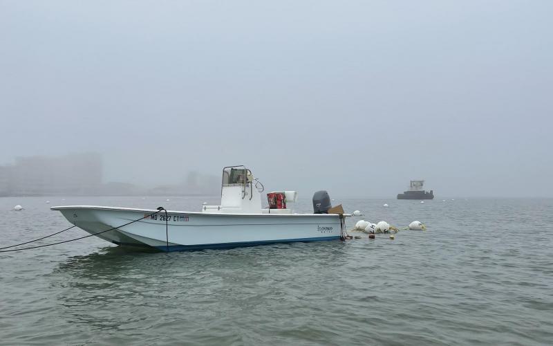 Then the fog rolled in