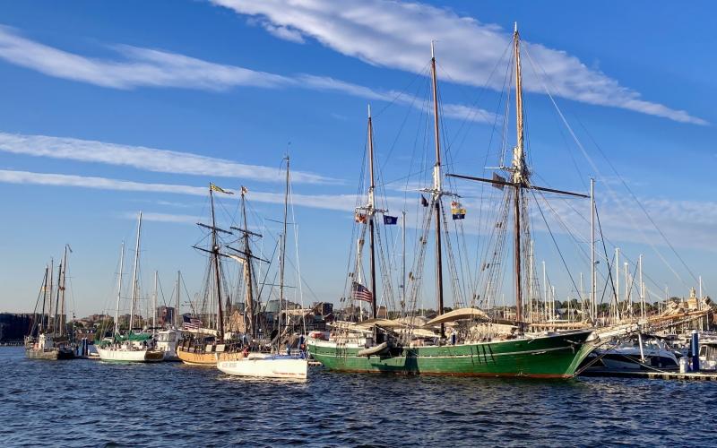 A nice look at the schooners on the way out to the course