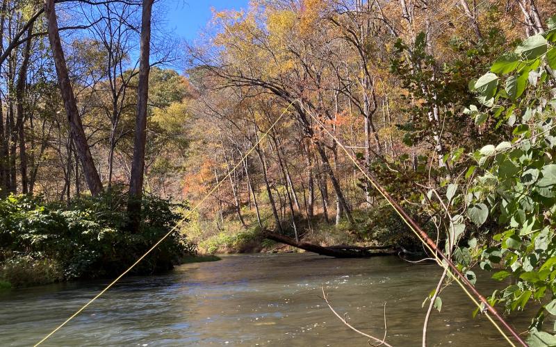 Diving board upstream