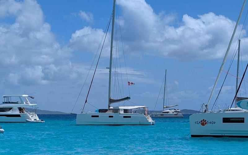 Catamarans on mooring balls at Trellis Bay, BVI