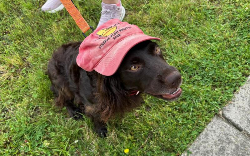 Erin Howe and her sailing crew.
