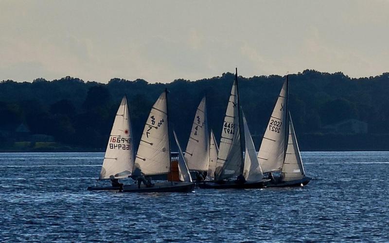 Some of the Thursday fleet
