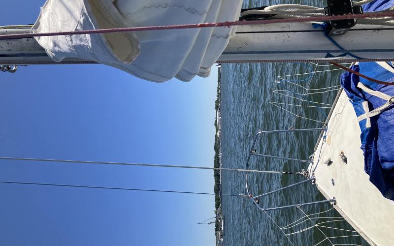 from the bow