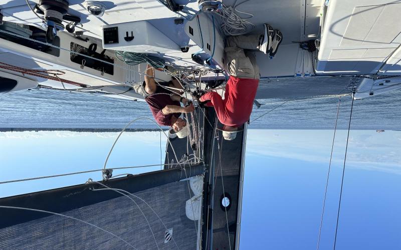 Cheshire Cat’s return to racing