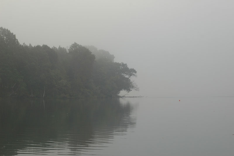 A foggy day at Wye Island on the Wye. 