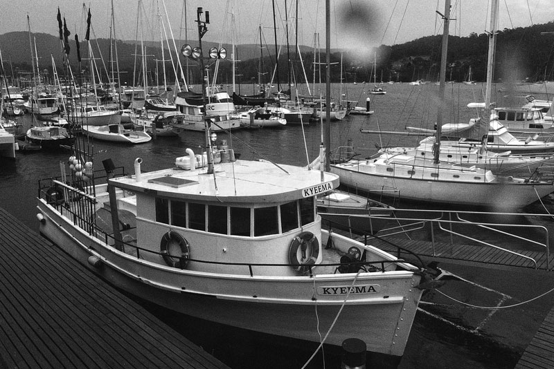 Fishing boats abound. Photo by Craig Ligibel